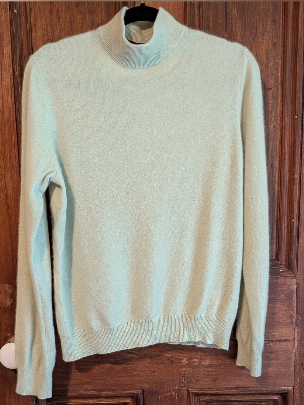 Charter Club Cashmere Light Green Turtleneck Sweater